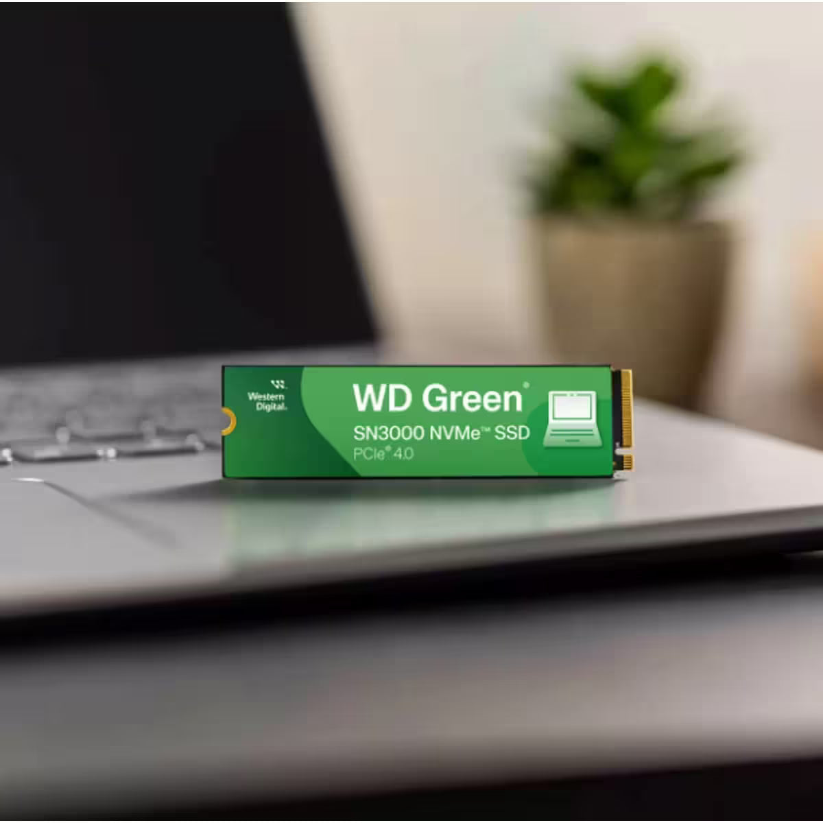 WD Green SN3000 PCIe NVMe SSD WD Green SN3000 PCIe NVMe SSD